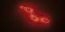 »Desiderat in Rot 3« 1071